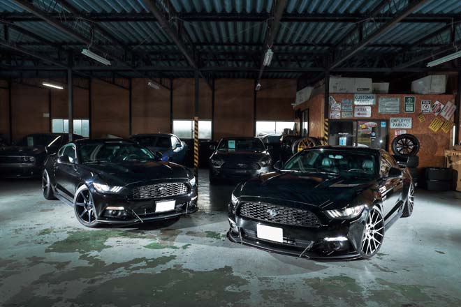 2015y FORD MUSTANG 50years EDITION、オールインポート、COBBチューニング