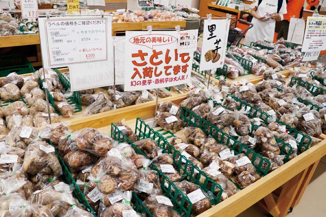 高野尾花街道 朝津味