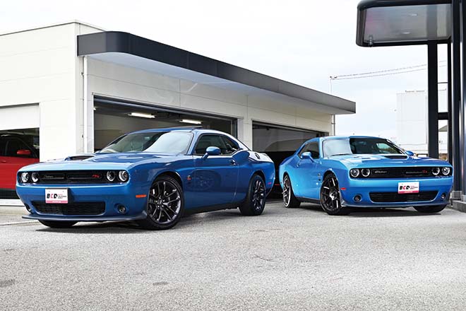 2020 DODGE CHALLENGER R/T SCATPACK [FROSTBITE]、2019 DODGE CHALLENGER R/T SCATPACK [B5 BLUE]