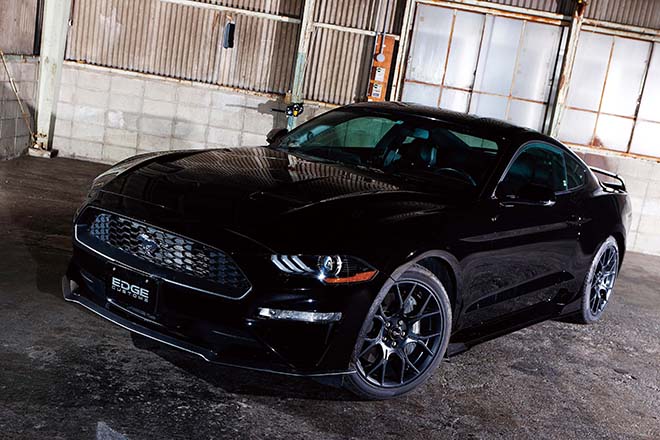 2019 FORD MUSTANG